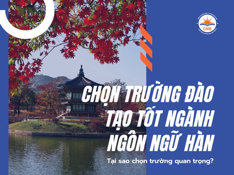 Chọn trường đào tạo tốt nhất ngành ngôn ngữ hàn tại sao lại quan trọng?