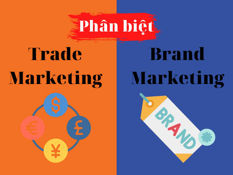 Phân biệt giữa Marketing thương mại và Quản trị thương hiệu